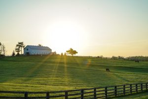 Gli agriturismi scopri cosa sono e come funzionano